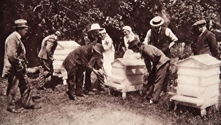 Instruction en apiculture sous le programme de Lord Eglinton : fumigation, de The Illustrated War News, 5 juillet 1916